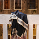 Illustration for article titled Cashmere Blankets fit for a Royal
